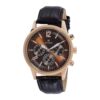 Titan Men's Metropolitan Luxe: Multifunction brown Dial with leather Strap-NR1734WL01/NT1734WL01